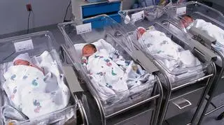W poznańskim szpitalu urodziły się czworaczki. "Rodzina może liczyć na pełne wsparcie"