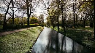 Pogoda na poniedziałek, 12 lutego 2024. IMGW ostrzega przed roztopami, może być ślisko