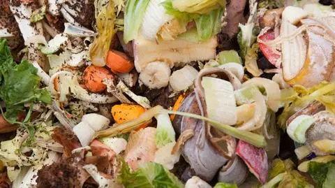 Sąsiedzi skarżą się na brak pieniędzy, a przez okna wyrzucają jedzenie