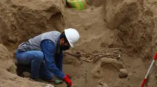 Na polu uprawnym w Polsce odnaleziono ludzkie kości