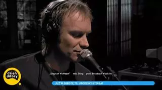 Sting kończy 70 lat. Skąd wziął się pseudonim wokalisty?