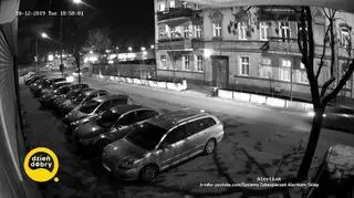 Mistrzowie parkowania
