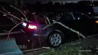Na jego auto spadło drzewo, do którego nikt się nie przyznaje. "Zaczynają się przepychanki"
