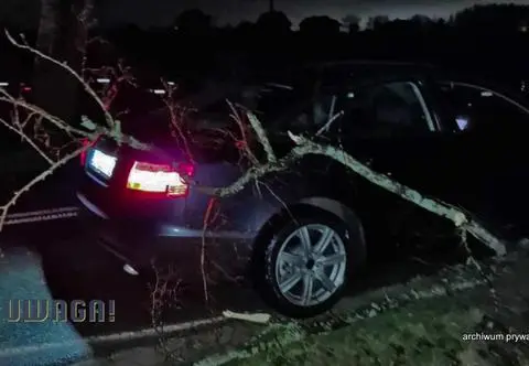 Uwaga! TVN: Konar uszkodził mu auto, ale do drzewa nikt się nie przyznaje
