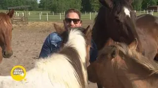 Bartek w schronisku Pegasus 