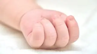 Nie żyje półtoramiesięczna dziewczynka. Czy do śmierci mogła doprowadzić wykonana w mieszkaniu dezynsekcja? 