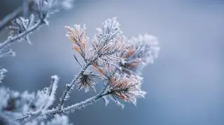 Pogoda na sobotę 3 grudnia. Gdzie spadnie śnieg?