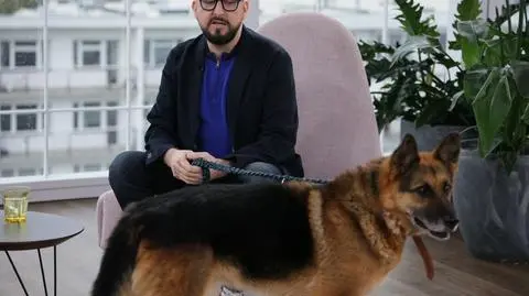 Czy merdanie ogonem oznacza, że pies jest zadowolony? Obalamy najpopularniejsze psie mity