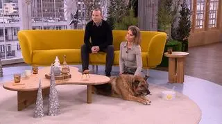 Librus ma 11 lat i czeka na nowy dom. Dlaczego warto adoptować psa-seniora? 