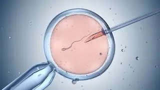 Badacze opracowali alternatywę dla in vitro. Na czym ona polega?
