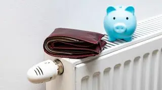 Zmiany w programie "Czyste Powietrze". Nie każdy otrzyma dofinansowanie