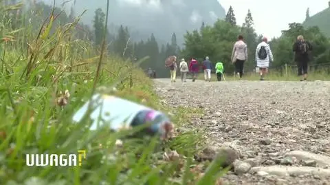 Polskie kurorty toną w śmieciach? "Pokój po gościach zwykle wygląda, jakby przeszło tornado"