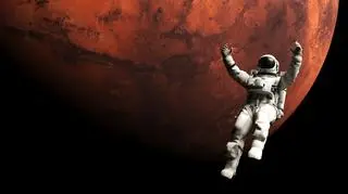 Elon Musk wysyła w kosmos statek z pierwszą całkowicie cywilną załogą 