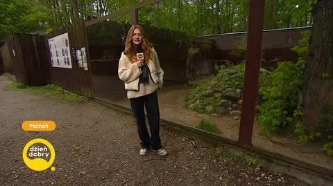 DD_2024041_Pogoda_REP