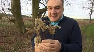 Podziemne życie dzikich zwierząt. Marcin Kostrzyński na tropie borsuków