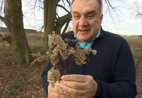 Podziemne życie dzikich zwierząt. Marcin Kostrzyński na tropie borsuków