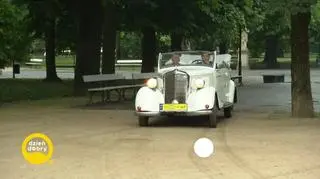 Ogród Saski pełen atrakcji 