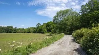 Pogoda na weekend. Wysokie temperatury i burze z gradem