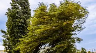 Kiedy przestanie wiać? Meteorolodzy nie mają dobrych wieści 