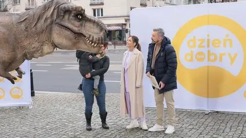 Dinozaur w Dzień Dobry TVN