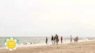 Projekt Plaża w Dziwnowie 
