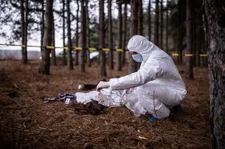 Zwłoki znalezione w lesie