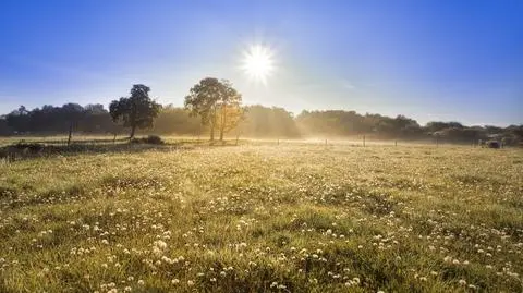 Jaka będzie pogoda w weekend? 