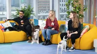 Naukowcy zbadali inteligencję psów. Która rasa jest najmądrzejsza?