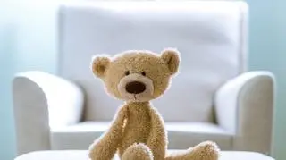 Światowy Dzień Pluszowego Misia, czyli święto wszystkich pluszaków. Co o nim wiemy?
