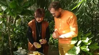 Polskie cytryny ze Skierniewic. "Mamy swoje, możemy sobie uprawiać"