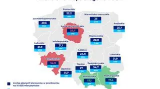 mapa Polski z zaznaczonymi statystykami alkoholowymi