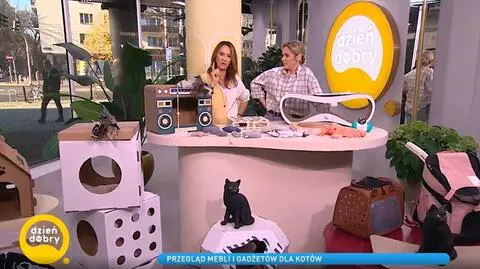 Meble dla kotów 