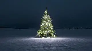 Przystrojona choinka na ośnieżonym polu.