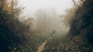 Pogoda na jutro. Gdzieniegdzie zrobi się cieplej, ale znowu zacznie wiać