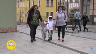 Zwierzobluzy