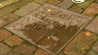 Światła na… Beatę Ścibakównę 