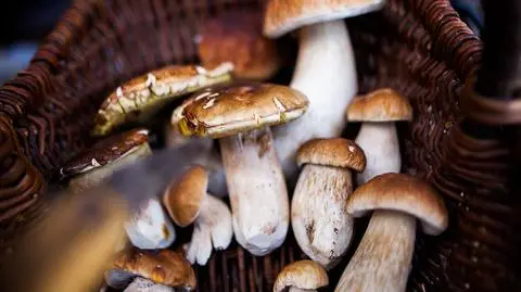 GettyImages-1034364580