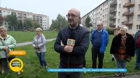 Zakaz wyprowadzania psów