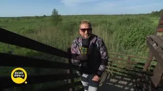 Bagno Całowanie zaprasza na spacer 