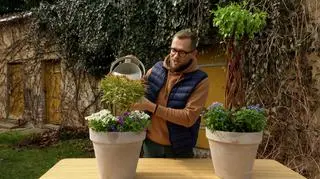 Wiosenne porządki w ogrodzie