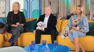 Gwiazdy zdradzają, jak wygląda życie z małym psem. "Zęby pokazuje, normalnie się śmieje"