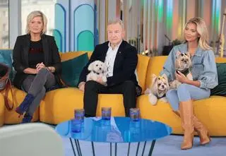 Gwiazdy zdradzają, jak wygląda życie z małym psem. "Zęby pokazuje, normalnie się śmieje"