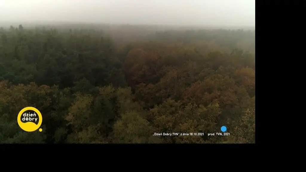 DD_20211119_Uchodzca_umont_REP