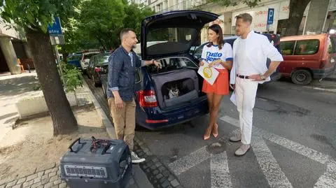 Zwierzak w aucie - jak zabezpieczyć pupila podczas podróży?