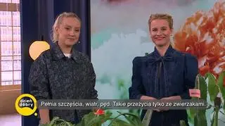 Trujące rośliny dla zwierząt - napisy