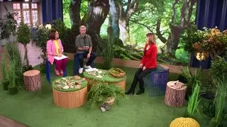Grzyby nadrzewne na odporność