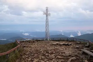 Tarnica