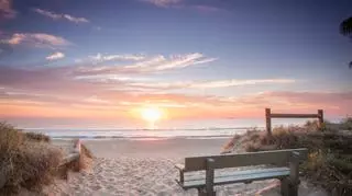 Sunshine Coast, Australia – co warto odwiedzić na Słonecznym Wybrzeżu? 
