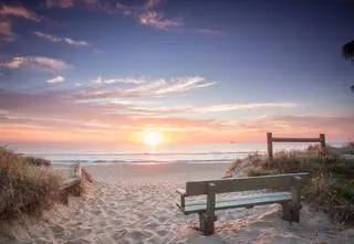 Sunshine Coast, Australia – co warto odwiedzić na Słonecznym Wybrzeżu? 