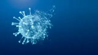 Centaurus - nowy subwariant koronawirusa. Tak samo zaraźliwy jak omikron